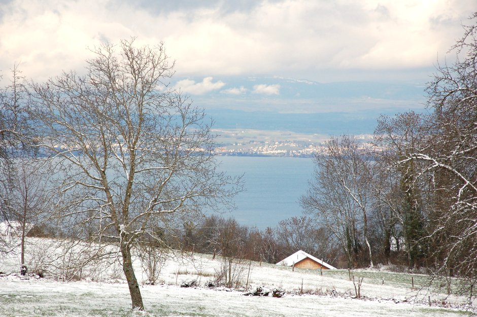 Alpes, Haute-Savoie, lac Léman / 